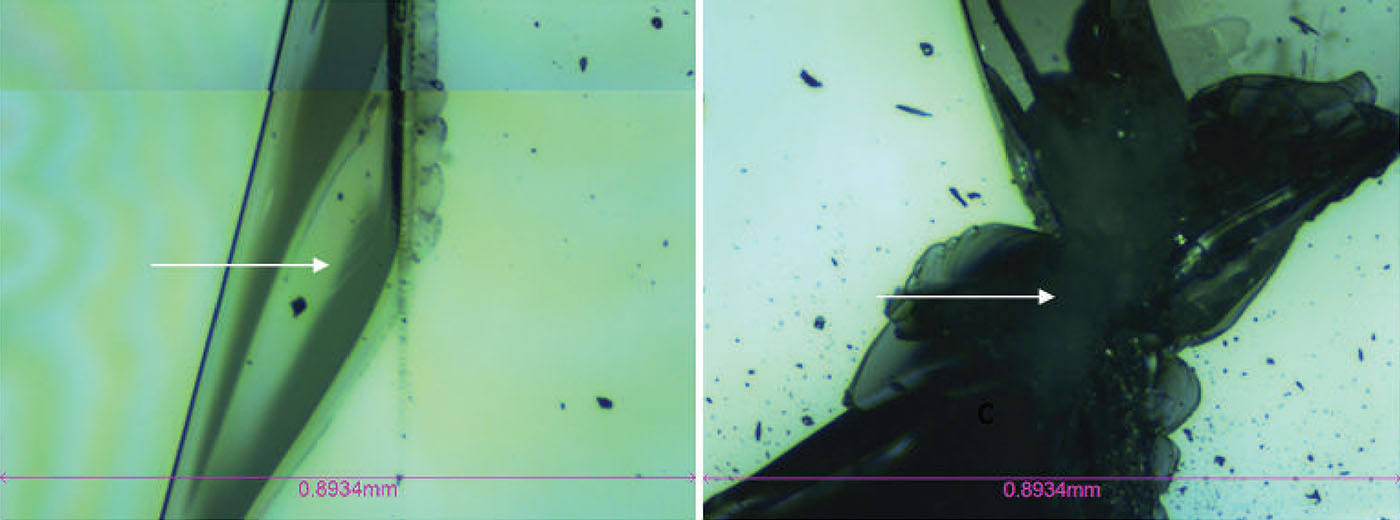 Optical microscopy images showing Critical Load #1 and Critical Load #2 failure locations on tempered glass screen protector during scratch testing at 5x magnification using NANOVEA mechanical tester.