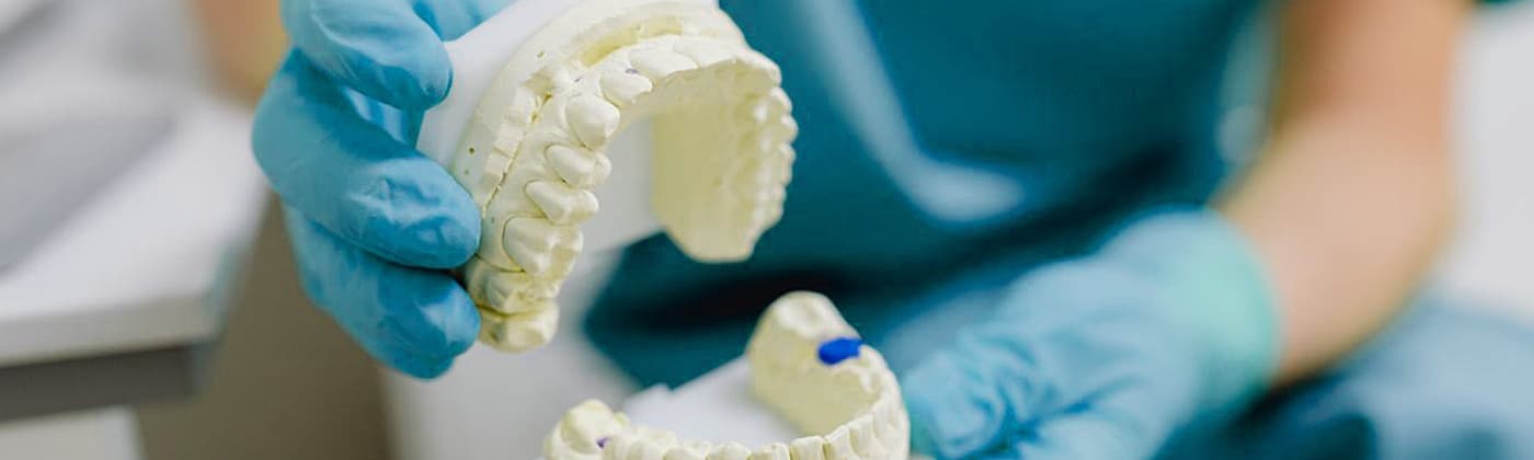 Dental surface roughness measurement and 3D molar reconstruction using optical profilometry