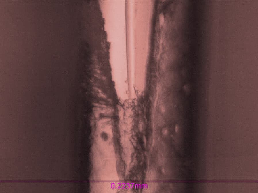 stent coating delamination lc2 nano scratch 78.1 mN adhesion testing